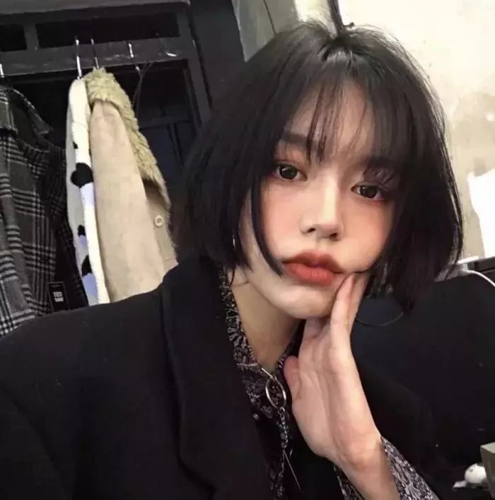 美国最恐怖的宠物